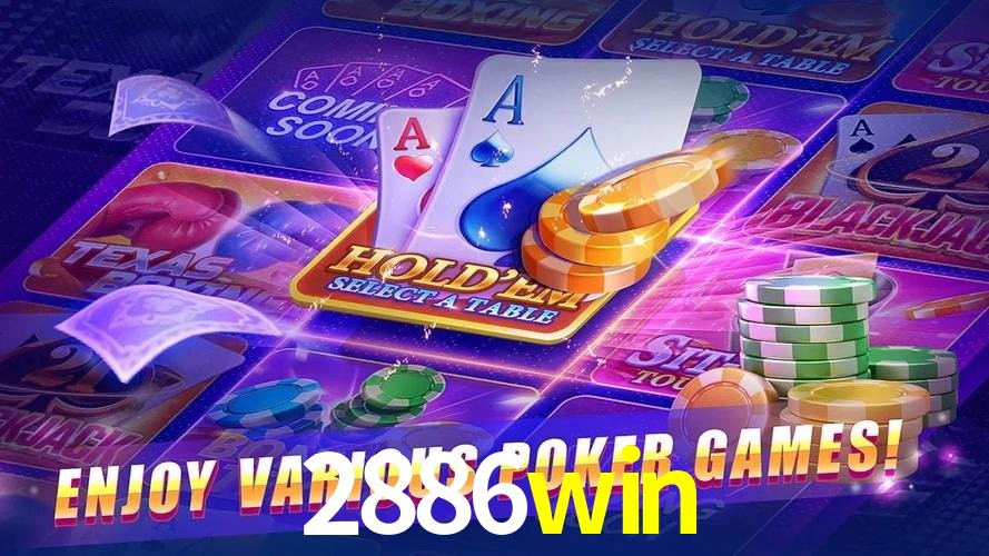 Sistemas de Segurança 2886win